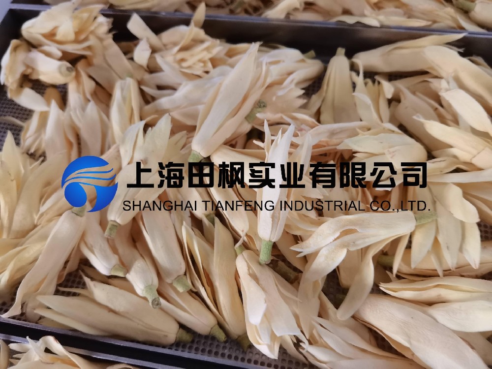 白玉蘭凍干，鮮花凍干機(jī)應(yīng)用于白玉蘭真空冷凍干燥