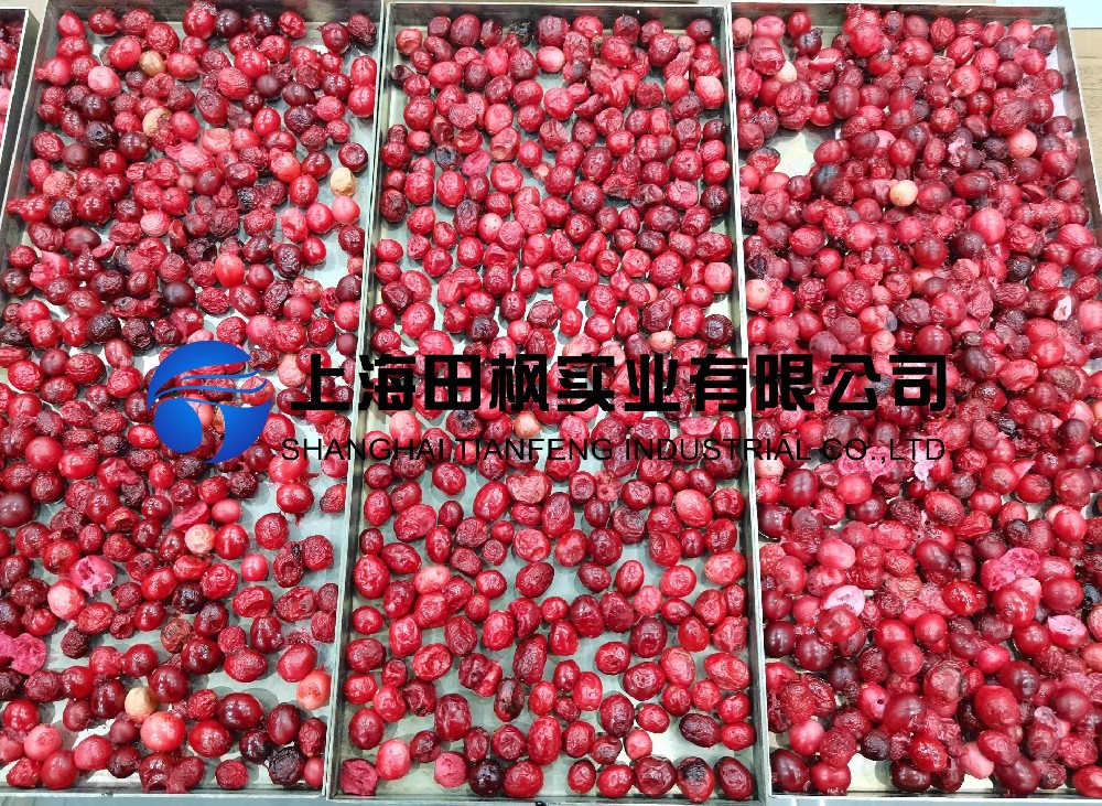 蔓越莓凍干：水果真空冷凍干燥機應(yīng)用