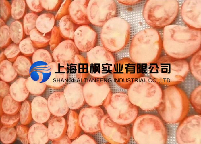 圣女果凍干：食品真空冷凍干燥機應(yīng)用果蔬凍干